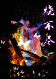 烧不尽全集带字幕